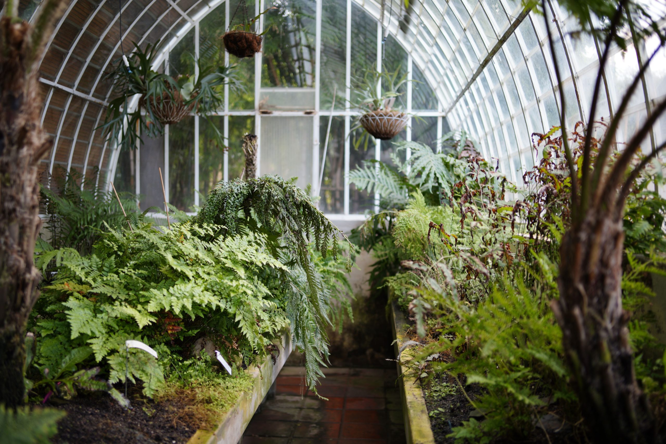 Invernadero de un vivero o jardín comercial con sistemas de riego y calefacción